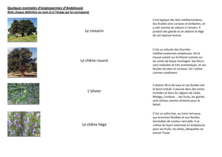 Quelques exemples d’angiospermes d’Andalousie
Relie chaque définition au nom et à l’image qui lui correspond.

                                                                          Il est typique des bois méditerranéens.
                                                                          Ses feuilles sont coriaces et brillantes, on
                                                                          y voit comme du velours à l’envers. Il
                                                           Le romarin     produit des glands et on obtient le liège
                                                                          de son épaisse écorce.



                                                                          C’est un arbuste des fourrées
                                                                          méditerranéennes andalouses. On le
                                                                          trouve autant sur le littoral comme sur
                                                        Le chêne rouvre   les zones de basse montagne. Ses fleurs
                                                                          sont violacées et très aromatiques, et ses
                                                                          feuilles étroites et coriaces. On l’utilise
                                                                          comme condiment.


                                                                          Il atteint 30 m de haut et ses feuilles ont
                                                                          le bord ondulé. Il pousse dans des zones
                                                             L’olivier    humides et dans les régions de Cadix,
                                                                          Malaga, Cordoue … Ses fruits, les glands,
                                                                          sont utilisés comme aliments pour le
                                                                          bétail.

                                                                          C’est un arbre bas, au tronc tortueux,
                                                                          aux branches flexibles et aux feuilles
                                                                          lancéolées de couleur vert pâle. Il se
                                                         Le chêne liège   cultive de façon extensive en Andalousie
                                                                          pour ses fruits, les olives, desquelles on
                                                                          extrait l’huile.
 
