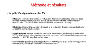 Les discours de la REDD+ dans les media