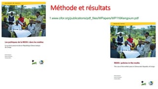 Les discours de la REDD+ dans les media