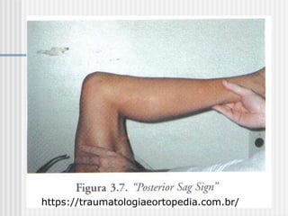 https://traumatologiaeortopedia.com.br/
 
