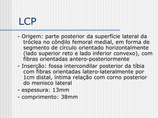 LCP
- Origem: parte posterior da superfície lateral da
tróclea no côndilo femoral medial, em forma de
segmento de círculo orientado horizontalmente
(lado superior reto e lado inferior convexo), com
fibras orientadas antero-posteriormente
- Inserção: fossa intercondilar posterior da tíbia
com fibras orientadas latero-lateralmente por
1cm distal, íntima relação com corno posterior
do menisco lateral
- espessura: 13mm
- comprimento: 38mm
 