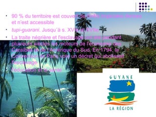 •   90 % du territoire est couvert de forêts tropicales denses
    et n’est accessible
•   tupi-guarani. Jusqu´à s. XVIe et XVIIe
•   La traite négrière et l'esclavage ont été pendant
    plusieurs siècles les moteurs de l'économie des
    Caraïbes et de l’Amérique du Sud. En 1794, la
    Convention de Paris vote un décret qui abolissait
    l'esclavage
•   l'éducation et la santé
 