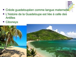    Créole guadeloupéen comme langue maternelle
   L’histoire de la Guadeloupe est liée à celle des
    Antilles
   Ciboneys
 