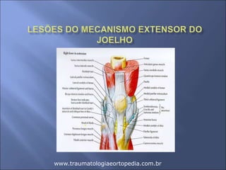 www.traumatologiaeortopedia.com.br
 