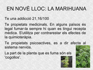 Fumada aconsegueix afectar abans i amb més potència al SNC. 