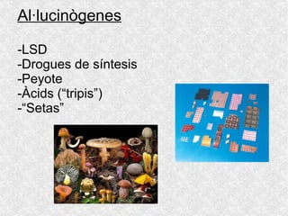 Al·lucinògenes -LSD -Drogues de síntesis -Peyote -Àcids (“tripis”) -“Setas” 