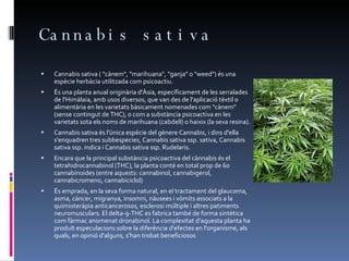 Cannabis sativa Cannabis sativa ( "cànem", "marihuana", "ganja" o "weed") és una espècie herbàcia utilitzada com psicoactiu. És una planta anual originària d'Àsia, específicament de les serralades de l'Himàlaia, amb usos diversos, que van des de l'aplicació tèxtil o alimentària en les varietats bàsicament nomenades com "cànem" (sense contingut de THC), o com a substància psicoactiva en les varietats sota els noms de marihuana (cabdell) o haixix (la seva resina). Cannabis sativa és l'única espècie del gènere Cannabis, i dins d'ella s'enquadren tres subbespecies, Cannabis sativa ssp. sativa, Cannabis sativa ssp. indica i Cannabis sativa ssp. Rudelaris. Encara que la principal substància psicoactiva del cànnabis és el tetrahidrocannabinol (THC), la planta conté en total prop de 60 cannabinoides (entre aquests: cannabinol, cannabigerol, cannabicromeno, cannabiciclol) És emprada, en la seva forma natural, en el tractament del glaucoma, asma, càncer, migranya, insomni, nàusees i vòmits associats a la quimioteràpia anticancerosos, esclerosi múltiple i altres patiments neuromusculars. El delta-9-THC es fabrica també de forma sintètica com fàrmac anomenat dronabinol. La complexitat d'aquesta planta ha produït especulacions sobre la diferència d'efectes en l'organisme, als quals, en opinió d'alguns, s'han trobat beneficiosos 