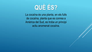 QUÈ ÉS?
La cocaïna és una planta, en els fulls
de cocaïna, planta que es conrea a
Amèrica del Sud, es troba un principi
actiu anomenat cocaïna.
 