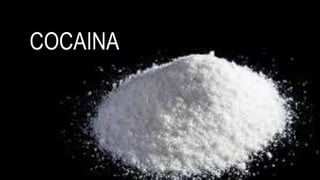 COCAINA
 