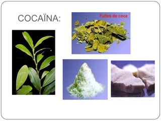 COCAÏNA: