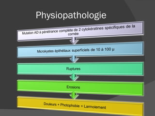 Physiopathologie 