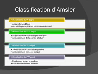 Classification d’Amsler 