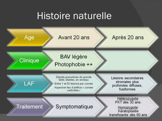 Histoire naturelle 