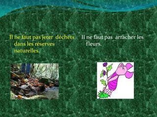 Il ne faut pas jeter déchets   Il ne faut pas arracher les
   dans les réserves              fleurs.
   naturelles.
 