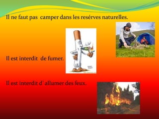 Il ne faut pas camper dans les resérves naturelles.




Il est interdit de fumer.



Il est interdit d’ allumer des feux.
 