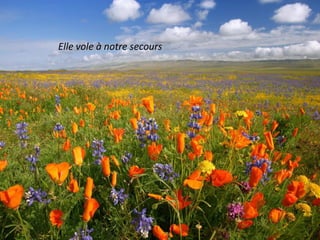 Elle vole à notre secours
 