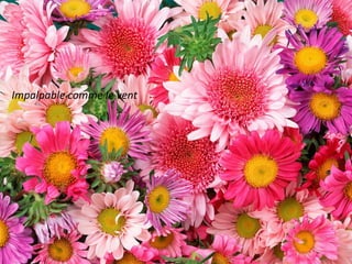 Impalpable comme le vent
 