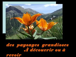 des paysages grandiosesdes paysages grandioses
À découvrir ou àÀ découvrir ou à
revoirrevoir