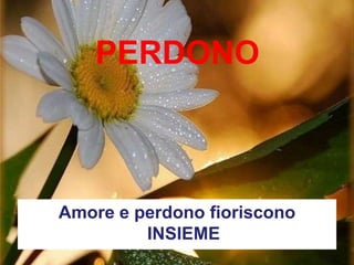 PERDONO
Amore e perdono fioriscono INSIEME
 