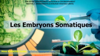Les Embryons Somatiques
Mme KARAOUI Fatiha (fatifatiha1066@gmail.com)
FSB-USTHB /DEPARTEMENT ECOLOGIE ET ENVIRONNEMENT
MASTER 2 : BIODIVERSITE & ECOLOGIE VEGETALE (BEVE)
2020/2021
 