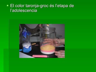 Les emocions del nostre voltant