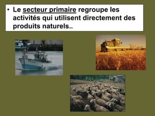 Le secteur primaire regroupe les activités qui utilisent directement des produits naturels..