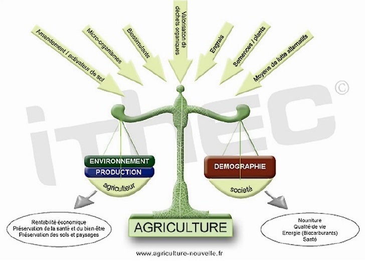 Les enjeux de l’agriculture