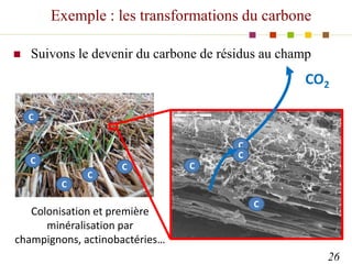 Exemple : les transformations du carbone
 Suivons le devenir du carbone de résidus au champ
26
C
CO2
Colonisation et prem...