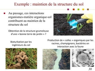 Exemple : maintien de la structure du sol
 Au passage, ces interactions
organismes-matière organique-sol
contribuent au m...