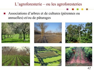 L’agroforesterie – ou les agroforesteries
 Associations d’arbres et de cultures (pérennes ou
annuelles) et/ou de pâturage...