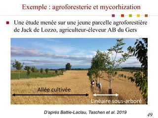 Exemple : agroforesterie et mycorhization
 Une étude menée sur une jeune parcelle agroforestière
de Jack de Lozzo, agricu...