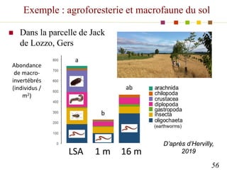 Exemple : agroforesterie et macrofaune du sol
 Dans la parcelle de Jack
de Lozzo, Gers
56
D’après d’Hervilly,
2019
LSA 1 ...