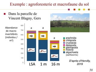 Exemple : agroforesterie et macrofaune du sol
 Dans la parcelle de
Vincent Blagny, Gers
58
D’après d’Hervilly,
2019
LSA 1...
