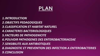1.INTRODUCTION
2.OBJECTIFS PEDAGOGIQUES
3.CLASSIFICATION ET HABITAT NATUREL
4.CARACTERES BACTERIOLOGIQUES
5.FACTEURS DE PATHOGENICITE
6.POUVOIR PATHOGENES DES ENTEROBACTERIACEAE
7.SENSIBILITE AUX ANTIBIOTIQUES
8.DIAGNOSTIC ET PREVENTION DES INFECTION A ENTEROBACTERIES
9.CONCLUSION
 