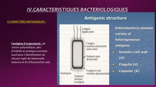 C) CARACTERES ANTIGENIQUES :
IV.CARACTERISTIQUES BACTERIOLOGIQUES
l’antigène K (capsulaire) : de
nature polyosidique, peu
d’intérêt en pratique courante
(sauf pour l’identification du
sérovar typhi de Salmonella
enterica et K1 d’Escherichia coli)
 