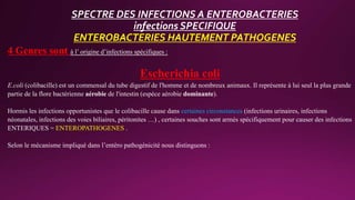 SPECTRE DES INFECTIONS A ENTEROBACTERIES
infections SPECIFIQUE
ENTEROBACTERIES HAUTEMENT PATHOGENES
4 Genres sont à l’ origine d’infections spécifiques :
Escherichia coli
E.coli (colibacille) est un commensal du tube digestif de l'homme et de nombreux animaux. Il représente à lui seul la plus grande
partie de la flore bactérienne aérobie de l'intestin (espèce aérobie dominante).
Hormis les infections opportunistes que le colibacille cause dans certaines circonstances (infections urinaires, infections
néonatales, infections des voies biliaires, péritonites …) , certaines souches sont armés spécifiquement pour causer des infections
ENTERIQUES = ENTEROPATHOGENES .
Selon le mécanisme impliqué dans l’entéro pathogénicité nous distinguons :
 