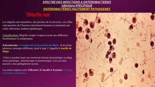 SPECTRE DES INFECTIONS A ENTEROBACTERIES
infections SPECIFIQUE
ENTEROBACTERIES HAUTEMENT PATHOGENES
Shigella spp
Les shigella sont immobiles, trés proches de Escherichia coli, Elles
sont parasites de l’homme (strictement humain) et entrainent une
colite infectieuse endémo-épidémique.
Classification: Shigella compte 4 espèces ayant une différence
biochimiques et antigéniques
S.dysenteriae: a l’origine de la dysentérie bacillaire Il en existe
plusieurs sérotypes différents, dont le type 1 s'appelle le bacille de
Shiga.
Celui-ci produit aussi une exotoxine (toxine dysentérique ou shiga
toxin) protéique entérotoxique et neurotoxique. Ceci est ainsi
associé a une pathogénicité accrue.
Les autres espèces sont :S.flexneri ,S. boydii et S.sonnei a l’oigine
d’entérites infectieuses
 