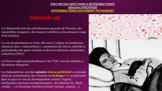 SPECTRE DES INFECTIONS A ENTEROBACTERIES
infections SPECIFIQUE
ENTEROBACTERIES HAUTEMENT PATHOGENES
Salmonella spp
Les Salmonella sont des entérobactéries parasites de l'homme, des
mammifères (rongeurs), des oiseaux (volailles) et des animaux à sang
froid (reptiles).
La voie de pénétration est orale, elle sont a l’origine de nombreuses
infections dites « salmonelloses », notamment des fièvres typhoïde et
paratyphoïdes des gastro-entérites et des toxi-infections alimentaires
collectives (TIAC)
Les fièvres typho-paratyphoidiques et les TIAC sont des maladies a
déclaration obligatoire
Les Salmonelloses sont des maladies Liés au péril fécal Le principal
mode de contamination chez l'homme est hydrique+++ en particulier
dans les pays en voie de développement comme l’Algérie,
interhumaine (porteurs asymptomatiques) , des aliments (ex. Œufs ,
volaille…) ou d'animaux familiers porteurs (tortues, serpents…).
 
