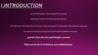 I.INTRODUCTION
grande diversité des pathologies causées
ce sont des bacilles à Gram négatif fermentaires
colonisant l’intestin de l’homme et des animaux
abondamment retrouvées dans la nature ou elles participent à la dégradation des matières organiques
occupent une place particulièrement importante en médecine humaine
l’état actuel de la résistance aux antibiotiques.
 