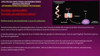 SPECTRE DES INFECTIONS A ENTEROBACTERIES
infections SPECIFIQUE
ENTEROBACTERIES HAUTEMENT PATHOGENES
Yersinia enterocolitia
Yersinia pseudotuberculosis
Habitat naturel ,physiopathologie et pouvoir pathogène:
Yersinia enterocolitica et Y.pseudotuberculosis, trouvées chez l'animal (maladie des rongeurs) et dans l'environnement (sol,
eaux), sont surtout les agents d'infections animales et rarement d'infections humaines.
Le bacille pénètre par voie digestive et se multiplie dans les ganglions mésentériques.Chez le sujet fragilisé, l'évolution peut se
faire vers la septicémie.
La forme la plus habituelle est l'adénite mésentérique à Y.pseudotuberculosis du sujet jeune à symptomatologie pseudo-
appendiculaire.A l'intervention, l'appendice est normal mais on trouve un ou plusieurs ganglions congestifs.
L'entérocolite à Y.enterocolitica est plus particulière : elle est à début brutal et associe diarrhée intense, vomissements,
douleurs abdominales et fièvre.
 