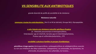 VII.SENSIBILITE AUX ANTIBIOTIQUES
grande diversité de profils de sensibilité et de résistance
Résistance naturelle
commune a toutes les entérobactéries : Peni G et M (et dérivés), Groupe MLS, Glycopeptides
a cela s’ajoute une résistance naturelle spécifique d’espèce
ex : Klebsiella pneumoniae et Aminopenicillines,
Enterobacter spp et C1G/C2G, Serratia spp et C1G/C2G/polymixines,
Proteus spp et sulfamides/polymixine,,, ETC
sensibilité a plusieurs familles et groupes d’antibiotique
pénicillines à large spectre (Aminopenicillines, carboxypénicillines et uréidopénicillines associés
ou non aux inhibiteurs des béta-Lactamases, carbapenems), Les aminosides, les Quinolones, les
phénicolés, les polymixines, les sulfamides, les furanes…
 