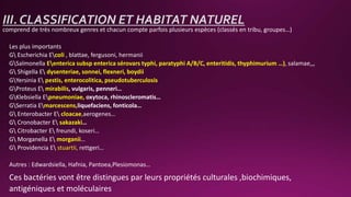 III. CLASSIFICATION ET HABITAT NATUREL
comprend de très nombreux genres et chacun compte parfois plusieurs espèces (classés en tribu, groupes…)
Les plus importants
G Escherichia Ecoli , blattae, fergusoni, hermanii
GSalmonella Eenterica subsp enterica sérovars typhi, paratyphi A/B/C, enteritidis, thyphimurium …), salamae,,,
G Shigella E dysenteriae, sonnei, flexneri, boydii
GYersinia E pestis, enterocolitica, pseudotuberculosis
GProteus E mirabilis, vulgaris, penneri…
GKlebsiella Epneumoniae, oxytoca, rhinoscleromatis…
GSerratia Emarcescens,liquefaciens, fonticola…
G Enterobacter E cloacae,aerogenes…
G Cronobacter E sakazaki…
G Citrobacter E freundi, koseri…
G Morganella E morganii…
G Providencia E stuartii, rettgeri…
Autres : Edwardsiella, Hafnia, Pantoea,Plesiomonas…
Ces bactéries vont être distingues par leurs propriétés culturales ,biochimiques,
antigéniques et moléculaires
 
