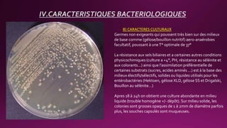B) CARACTERES CULTURAUX
Germes non exigeants qui poussent très bien sur des milieux
de base comme (gélose/bouillon nutritif) aero-anaérobies
facultatif, poussant à uneT° optimale de 37°
La résistance aux sels biliaires et a certaines autres conditions
physicochimiques (culture a +4°, PH, résistance au sélénite et
aux colorants…) ainsi que l’assimilation préférentielle de
certaines substrats (sucres, acides aminés …) est à la base des
milieux électifs/sélectifs, solides ou liquides utilisés pour les
entérobactéries (Hektoen, gélose XLD, gélose SS et Drigalski,
Bouillon au sélénite…)
Apres 18 à 24h on obtient une culture abondante en milieu
liquide (trouble homogène +/- dépôt). Sur milieu solide, les
colonies sont grosses opaques de 1 à 2mm de diamètre parfois
plus, les souches capsulés sont muqueuses.
IV.CARACTERISTIQUES BACTERIOLOGIQUES
 