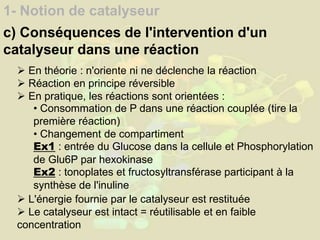 1- Notion de catalyseur
c) Conséquences de l'intervention d'un
catalyseur dans une réaction
 En théorie : n'oriente ni ne déclenche la réaction
 Réaction en principe réversible
 En pratique, les réactions sont orientées :
• Consommation de P dans une réaction couplée (tire la
première réaction)
• Changement de compartiment
Ex1 : entrée du Glucose dans la cellule et Phosphorylation
de Glu6P par hexokinase
Ex2 : tonoplates et fructosyltransférase participant à la
synthèse de l'inuline
 L'énergie fournie par le catalyseur est restituée
 Le catalyseur est intact = réutilisable et en faible
concentration
 