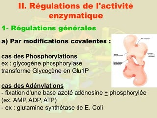 LES ENZYMES.ppt