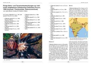 ARACHNE 10(2), 2005                                                                                                                                                                      ARACHNE 10(2), 2005




Einige Natur- und Terrarienbeobachtungen zur indi-                                               • Chilobrachys huahini SCHMIDT & HUBER,             BIOTOP
                                                                                                   1996
schen Vogelspinne Chilobrachys fimbriatus POCOCK,                                                  Thailand                                          Chilobrachys fimbriatus lebt in Bauten an Ab-
1899 (Araneae: Therphosidae: Selenocosmiinae)                                                    • Chilobrachys hubei SONG & ZHAO, 1988              hängen und Böschungen, in Höhen zwi-
von Jean-Michel Verdez & Frédéric Cléton                                                           China                                             schen 50 cm und 2 Metern. Ein einzelnes
                                                                                                 • Chilobrachys jingzhao Z HU, S ONG & L I ,         Exemplar ist unter einem großen Stein ge-
                                                                                                   2001                                              funden worden. Die Erdbauten haben eine
Die Gattung Chilobrachys KARSCH, 1891 zählt        • Chilobrachys dyscolus (SIMON, 1886)           China                                             maximale Tiefe von 30 cm. Sie sind auf-
aktuell 23 Arten (PLATNICK 2005):                    Vietnam                                     • Chilobrachys nitelinus KARSCH, 1891               grund der gut sichtbaren Eingänge sehr
                                                   • Chilobrachys femoralis POCOCK, 1900           Sri Lanka
  • Chilobrachys andersoni (POCOCK, 1895)            Indien                                      • Chilobrachys oculatus (THORELL, 1895)
    Myanmar, Malaysia                              • Chilobrachys fimbriatus POCOCK, 1899          Myanmar
  • Chilobrachys annandalei SIMON, 1901              Indien                                      • Chilobrachys paviei (SIMON, 1886)
    Myanmar, Malaysia                              • Chilobrachys flavopilosus (SIMON, 1884)       Thailand
  • Chilobrachys assamensis HIRST, 1909              Indien, Myanmar                             • Chilobrachys pococki (THORELL, 1897)
    Indien                                         • Chilobrachys fumosus (POCOCK, 1895)           Myanmar
  • Chilobrachys bicolor (POCOCK, 1895)              Indien                                      • Chilobrachys sericeus (THORELL, 1895)
    Myanmar                                        • Chilobrachys hardwicki (POCOCK, 1895)         Myanmar
  • Chilobrachys brevipes (THORELL, 1897)            Indien                                      • Chilobrachys soricinus (THORELL, 1887)
    Myanmar                                                                                        Myanmar
                                                                                                 • Chilobrachys stridulans (W OOD M ASON ,
                                                                                                   1877)
                                                                                                   Indien
                                                                                                 • Chilobrachys thorelli POCOCK, 1900
                                                                                                   Indien
                                                                                                 • Chilobrachys tschankoensis SCHENKEL, 1963          Abb. 2: Das Typusmaterial, nach dem POCOCK die Art Chi-
                                                                                                   China                                              lobrachys fimbriatus 1899 beschrieben hat, wurde im We-
                                                                                                                                                      sten Indiens in der Region um Goa gefunden.


                                                                                               HERKUNFT                                              leicht auszumachen. Die Bauten sind tubus-
                                                                                                                                                     förmig, relativ breit und mit Laub und ver-
                                                                                               Chilobrachys fimbriatus stammt aus Westindien         schiedenen Pflanzenresten ausgekleidet. Die
                                                                                               aus der Region um Goa. Es handelt sich um             Eingänge sind stark mit dichter Spinnseide
                                                                                               eine Art mit einer Spannweite von ca. 12-14           ausgewebt. Im Februar, während der Trock-
                                                                                               cm bei den Weibchen. Die Größe der adul-              enzeit, herrschte eine wenig feuchte Atmos-
                                                                                               ten Männchen variiert stark. Sie können bis           phäre im Inneren der Bauten. Die Außen-
                                                                                               zu drei mal kleiner als die Weibchen sein.            temperatur überstieg zu diesem Zeitpunkt
                                                                                                   Das Männchen sieht dem Weibchen sehr              nie 28°C im Schatten. Es war uns nicht
                                                                                               ähnlich, besitzt allerdings längere und feine-        möglich, sie innerhalb der Bauten zu mes-
                                                                                               re Gliedmaßen. Zeichnung und Färbung der              sen. Es wurden in den Biotopen nur wenig
                                                                                               beiden Geschlechter sind annähernd iden-              Beutetiere (Insekten und andere) gesichtet.
                                                                                               tisch, jedoch ist das Blau der Femora bei den         Diese Knappheit an Futter lag möglicher-
                                                                                               Männchen sehr schwach ausgeprägt und                  weise in der unbarmherzigen Trockenheit
 Abb. 1: Chilobrachys fimbriatus, Weibchen
 Foto: Frédéric Cléton                                                                         kaum zu sehen.                                        der Jahreszeit begründet.
                                              24                                                                                                25
 
