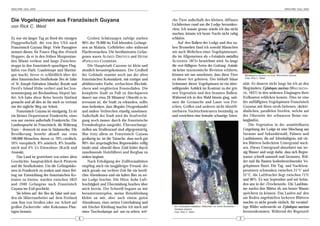 ARACHNE 10(2), 2005                                                                                                                                                                                      ARACHNE 10(2), 2005




Die Vogelspinnen aus Französisch Guyana                                                               che Tiere außerhalb des kleinen, diffusen
                                                                                                      Lichtkreises rund um die Lodge herumkro-
von Rick C. West
                                                                                                      chen. Ich wusste genau: würde ich das nicht
                                                                                                      machen, könnte ich heute Nacht nicht ruhig
Es war ein langer Tag an Bord der einzigen               Groben Schätzungen zufolge starben           schlafen.
Fluggesellschaft, die von den USA nach               90% der 70.000 im Exil lebenden Gefange-             Auf den Balken der Lodge und den na-
Französisch Guyana fliegt. Viele Passagiere          nen an Malaria, Gelbfieber oder während          hen Bromelien fand ich sowohl Männchen
nennen diesen Air France-Flug den »French            Fluchtversuchen. Die berühmtesten Gefan-         wie auch Weibchen einer Vogelspinnenart,
Hopper«, da er in den frühen Morgenstun-             genen waren ALFRED DREYFUS und HENRI             die im Allgemeinen als »Avicularia metallica
den Miami verlässt und lange Zwischen-               »PAPILLON« CHARRIÈRE.                            AUSSERER, 1875« bezeichnet wird. So lange
stopps in den französisch-sprachigen Flug-               Die Hauptstadt Cayenne ist klein und         die »rot-füßigen« Arten der Gattung Avicula-
häfen von Haiti, Guadeloupe und Martini-             ziemlich heruntergekommen. Der Großteil          ria keine taxonomische Revision erfahren,
que macht, bevor er schließlich über der             der Gebäude stammt noch aus der alten            können wir nur annehmen, dass diese Tiere                        Ephebopus murinus vor ihrer Wohnröhre sitzend
alten französischen Strafkolonie Iles de Salut       französischen Kolonialzeit, mit rostiger und     zu dieser Art gehören. Der lebhaft blaue                         Foto: Rick C. West

of St. Joseph (Salvation Islands), Royale und        abblätternder Farbe, zerfurchten Blechdä-        Schimmer dieser Vogelspinnen ist ein über-                      sität. Es dauerte nicht lange bis ich an den
Devil's Island Höhe verliert und bei Son-            chern und vergitterten Fensterläden. Die         wältigender Anblick im Kontrast zu der grü-                     Wegrändern Ephebopus murinus (WALCKENA-
nenuntergang am Rochambeau Airport lan-              komplette Stadt zu Fuß zu durchqueren            nen Vegetation und den braunen Balken.                          ER , 1837) in den seidenen Eingängen ihrer
det. Ich habe diese Reise bereits fünfmal            dauert nur etwa 20 Minuten! Obwohl es in-        Während ich in den Wald hinein ging, nah-                       Erdbauten erblicken konnte. Dies ist eine
gemacht und all dies ist für mich so vertraut        teressant ist, die Stadt zu erkunden, sollte     men die Geräusche und Laute von Frö-                            der auffälligsten Vogelspinnen Französisch
wie der tägliche Weg zur Arbeit.                     man bedenken, dass illegaler Drogenhandel        schen, Grillen und anderen nicht identifi-                      Guyanas mit ihren stroh-farbenen, skelett-
    Französisch Guyana ist einzigartig. Es ist       und andere Verbrechen ständig zunehmen.          zierbaren Nachtschwärmern beständig zu                          ähnlichen, parallelen Streifen, welche auf
ein kleines Departement Frankreichs, eines           Außerhalb der Stadt wird die Strafverfol-        und erreichten eine beinahe schaurige Inten-                    der Oberseite der schwarzen Beine ent-
von nur zweien außerhalb Frankreichs. Die            gung noch immer durch die französische                                                                           langlaufen.
Landessprache ist Französisch, die Währung           Fremdenlegion ausgeübt, Überwachungs-                                                                                 Die Vegetation in der unmittelbaren
Euro – dennoch ist man in Südamerika. Die            stellen am Straßenrand sind allgegenwärtig.                                                                      Umgebung der Lodge ist eine Mischung aus
Bevölkerung besteht aktuell aus etwa                 Was trotz allem an Französisch Guyana                                                                            Savanne und Sekundärwald, Palmen und
190.000 Menschen, davon ca. 70% creolisch,           großartig ist, ist die Tatsache, dass noch gut                                                                   Laubbäumen, die auf lehmhaltigem, mit vie-
10% europäisch, 8% asiatisch, 8% brasilia-           90% des ursprünglichen Regenwaldes völlig                                                                        len Blättern bedecktem Untergrund wach-
nisch und 4% Ur-Einwohner (Karib und                 intakt sind, obwohl diese Zahl leider durch                                                                      sen. Dieser Untergrund absorbiert nur we-
Arawak).                                             zunehmende Holzfällerei und Bergbau zu                                                                           nig Wasser und sorgt dafür, dass sich Regen-
    Das Land ist gezeichnet von seiner alten         sinken beginnt.                                                                                                  wasser schnell sammelt und Savannen, Wäl-
Geschichte, hauptsächlich durch Piraterie                Nach Erledigung der Zollformalitäten                                                                         der und die Bauten bodenbewohnender Vo-
und die Strafkolonien. Um die Gefängnisko-           empfing mich ein langjähriger Freund, der                                                                        gelspinnen flutet. Die Tag- und Nachttem-
sten in Frankreich zu senken und einen Bei-          mich gerade zur rechten Zeit für ein herrli-                                                                     peraturen schwanken zwischen 21°C und
trag zur Entwicklung der französischen Ko-           ches Abendessen und ein kaltes Bier zu sei-                                                                      31°C, die Luftfeuchte liegt zwischen 71%
lonien zu leisten, wurden zwischen 1852              ner Lodge brachte. Die Hitze, hohe Luft-                                                                         und 96%. Es war September und wir befan-
und 1940 Gefangene nach Französisch                  feuchtigkeit und Übermüdung brachen über                                                                         den uns in der »Trockenzeit«. Die Laubbäu-
Guyana ins Exil geschickt.                           mich herein. Der Schweiß begann an mir                                                                           me warfen ihre Blätter ab, um besser Wasser
    Sie lebten auf der Iles du Salut und wur-        herunterzutropfen, meine Reisekleidung                                                                           speichern zu können. Das Laufen auf den
den als Sklavenarbeiter auf dem Festland             klebte an mir, aber nach einem guten                                                                             am Boden angehäuften lockeren Blättern
zum Bau von Straßen oder zur Arbeit auf              Abendessen, einer netten Unterhaltung und                                                                        machte es nicht gerade einfach, für vernünf-
großen Zuckerrohr- oder Kokosnuss-Plan-              mit frischer Kleidung machte ich mich mit         ein »Avicularia metallica« Weibchen vor ihrem Bromelien-       tige Bilder unbemerkt an Ephebopus murinus
                                                                                                       Versteck sitzend
tagen benutzt.                                       einer Taschenlampe auf, um zu sehen, wel-         Foto: Rick C. West                                             heranzukommen. Während der Regenzeit
                                                 4                                                                                                                5
 