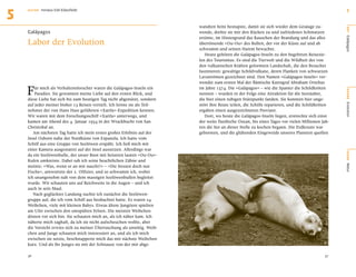 5   AU T O R   Irenäus Eibl-Eibesfeldt                                                                                                              5


                                                                           wandten Seite bestupste, damit sie sich wieder dem Gesäuge zu-




                                                                                                                                                   O RT
    Galápagos                                                              wende, drehte sie mir den Rücken zu und zufriedenes Schmatzen
                                                                           ertönte, im Hintergrund das Rauschen der Brandung und das alles
    Labor der Evolution




                                                                                                                                                   Galápagos
                                                                           übertönende »Ou-Ou« des Bullen, der vor der Küste auf und ab
                                                                           schwamm und seinen Harem bewachte.
                                                                              Heute gehören die Galápagos-Inseln zu den begehrten Reisezie-
                                                                           len des Tourismus. Es sind die Tierwelt und die Wildheit der von
                                                                           den vulkanischen Kräften geformten Landschaft, die den Besucher
                                                                           faszinieren: gewaltige Schildvulkane, deren Flanken von schwarzen
                                                                           Lavaströmen gezeichnet sind. Den Namen »Galápagos-Inseln« ver-


    F
                                                                           wendet zum ersten Mal der ﬂämische Kartograf Abraham Ortelius
        ür mich als Verhaltensforscher waren die Galápagos-Inseln ein      im Jahre 1574. Die »Galápagos« – wie die Spanier die Schildkröten




                                                                                                                                                   BÜHNE
        Paradies. Sie gewannen meine Liebe auf den ersten Blick, und       nennen – wurden in der Folge eine Attraktion für die Seeräuber,
    diese Liebe hat sich bis zum heutigen Tag nicht abgenützt, sondern     die hier einen ruhigen Stützpunkt fanden. Sie konnten hier unge-
    auf jeder meiner bisher 13 Reisen vertieft. Ich lernte sie als Teil-   stört ihre Beute teilen, die Schiffe reparieren, und die Schildkröten




                                                                                                                                                   Evolution
    nehmer der von Hans Hass geführten »Xarifa«-Expedition kennen.         ergaben einen ausgezeichneten Proviant.
    Wir waren mit dem Forschungsschiff »Xarifa« unterwegs, und                Dort, wo heute die Galápagos-Inseln liegen, erstreckte sich einst
    kamen am Abend des 4. Januar 1954 in der Wrackbucht von San            der weite Paziﬁsche Ozean, bis eines Tages vor vielen Millionen Jah-
    Christobal an.                                                         ren die See an dieser Stelle zu kochen begann. Die Erdkruste war
       Am nächsten Tag hatte ich mein erstes großes Erlebnis auf der       geborsten, und die glühenden Eingeweide unseres Planeten quollen
    Insel Osborn nahe der Nordküste von Espanola. Ich hatte vom
    Schiff aus eine Gruppe von Seelöwen erspäht. Ich ließ mich mit
    einer Kamera ausgestattet auf der Insel aussetzen. Allerdings war




                                                                                                                                                   SZENE
    da ein Seelöwenbulle, der unser Boot mit heiseren lauten »Ou-Ou«-
    Rufen umkreiste. Dabei sah ich seine beachtlichen Zähne und
    meinte: »Was, wenn er an mir nascht?« – »Die fressen doch nur




                                                                                                                                                   Natur
    Fische«, antwortete der 2. Offizier, und so schwamm ich, wobei
    ich unangenehm nah von dem massigen Seelöwenbullen begleitet
    wurde. Wir schauten uns auf Reichweite in die Augen – und ich
    auch in sein Maul.
       Nach geglückter Landung suchte ich zunächst die Seelöwen-
    gruppe auf, die ich vom Schiff aus beobachtet hatte. Es waren 24
    Weibchen, viele mit kleinen Babys. Etwas ältere Jungtiere spielten
    am Ufer zwischen den umspülten Felsen. Die meisten Weibchen
    dösten vor sich hin. Sie schauten mich an, als ich näher kam. Ich
    näherte mich zaghaft, da ich sie nicht aufscheuchen wollte, aber
    die Vorsicht erwies sich zu meiner Überraschung als unnötig. Weib-
    chen und Junge schauten mich interessiert an, und als ich mich
    zwischen sie setzte, beschnupperte mich das mir nächste Weibchen
    kurz. Und als ihr Junges sie mit der Schnauze von der mir abge-

    36                                                                                                                                       37
 