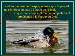 Cet endurcissement explique aussi que la plupart
ne s’intéressent pas à l’étude de la Bible
        et que beaucoup sont même complètement
          hermétiques à la Parole de Dieu.
 