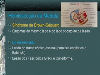 Hemissecção da Medula
Síndrome de Brown-Séquard.
Sintomas do mesmo lado e do lado oposto ao da lesão.
Do mesmo lado:
Lesão do tracto córtico-espinal (paralisia espástica e
Babinski);
Lesão dos Fascículos Grácil e Cuneiforme.
 